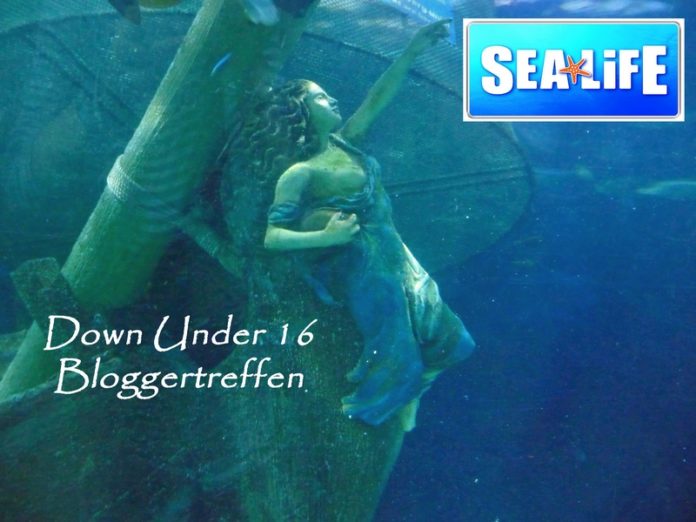 Down under Bloggertreffen