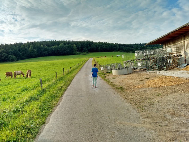 Quinkenhof Erinnerungen