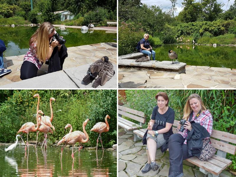 Bloggertreffen Summer Feeling 2017 Grugapark Essen