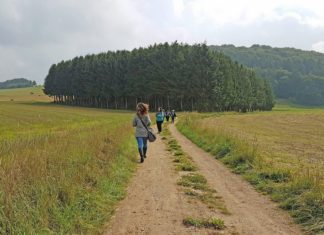 B-F-E Bloggertreffen Eifelwege