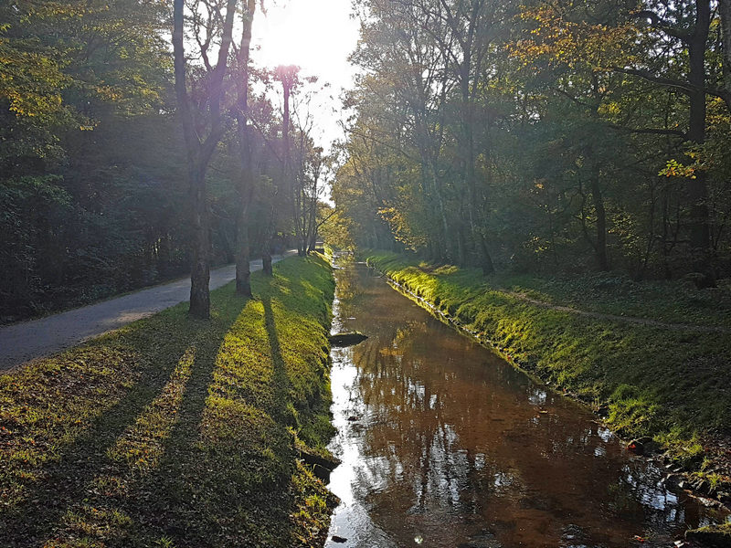 Entschleunigung Herbst Rotbachtal