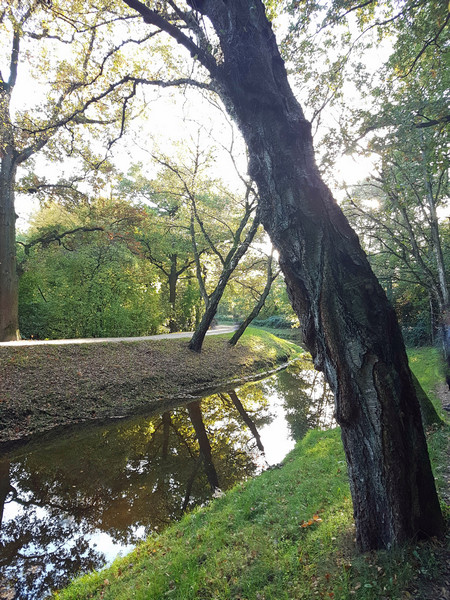 Entschleunigung Herbst Rotbachtal