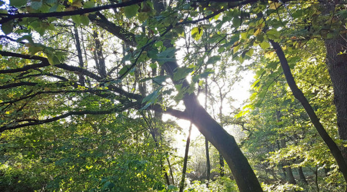 Entschleunigung Herbst Rotbachtal