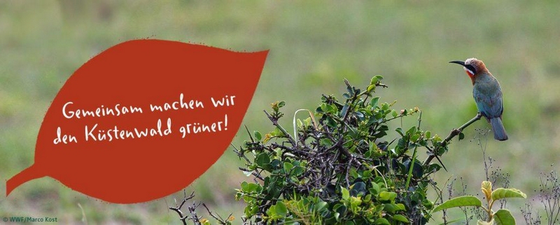 Kneipp Naturschutzprojekt WWF Hilfsprojekt