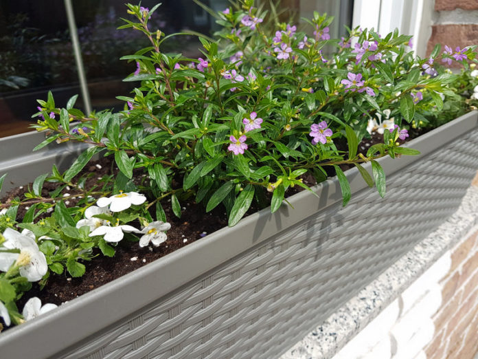 Emsa Casa Mesh Blumenkasten
