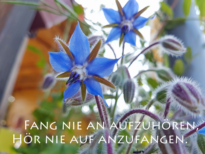 Spruch Anfangen und Aufhören