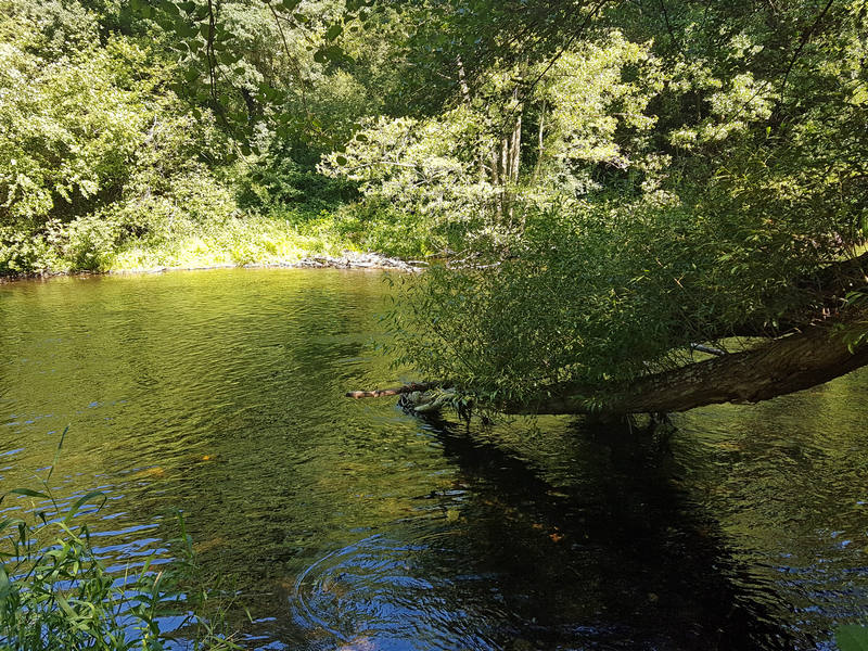 Eifel Heimbach Camping