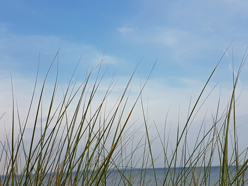 Urlaub Ostsee Niendorf