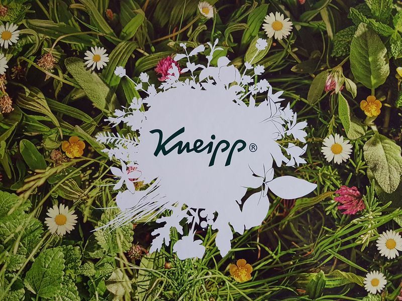 Kneipp Bloggerevent 2018 Ochsenfurt