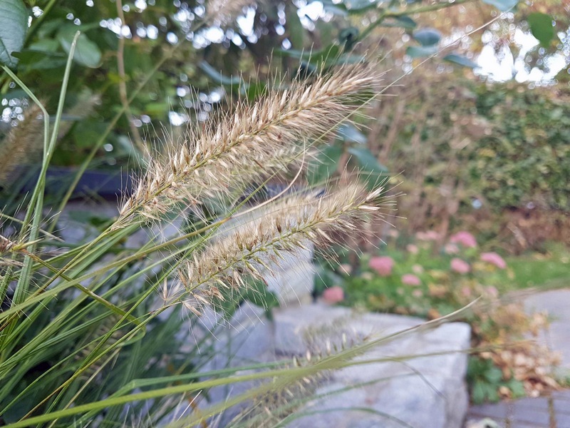 Herbstimpressionen Herbstblues