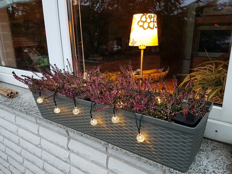Salcar Lichterketten Projektor
