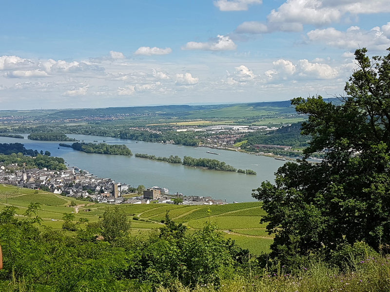 Schiffstour Mittelrhein Rüdesheim