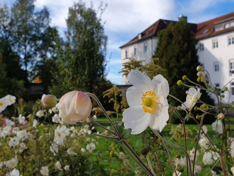 Kneipp Bloggerevent 2019 Bloggertreffen Bad Wörishofen Kuroase Kloster