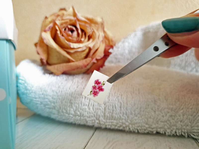 Rubis Pinzette Classic Elegance