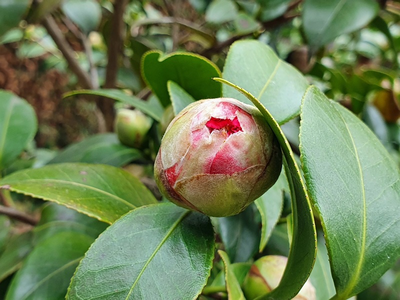Frühling 2021