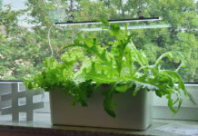 Nelson Garden Hydroponic Pflanzenkultur Harvy