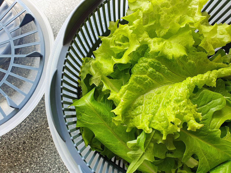 Nelson Garden Salat