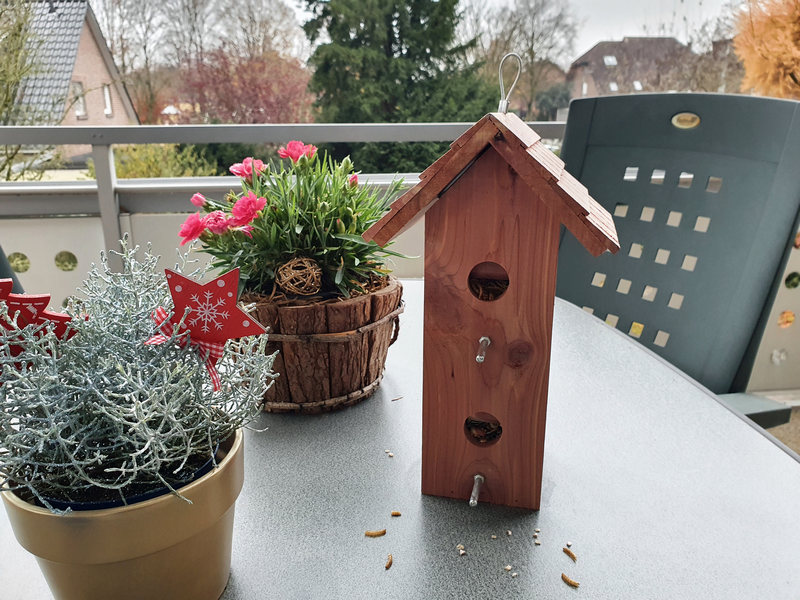 Luxus Vogelhaus Futterhaus zum aufhängen, hängend V13