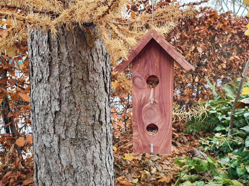 Nelson Garden Vogelfutter, Futterspende Vogelhaus Cedar