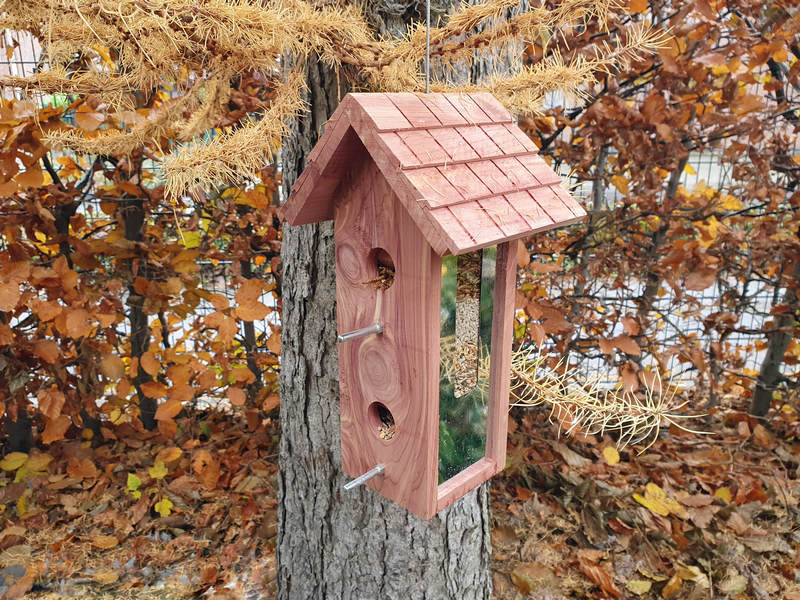 Nelson Garden Vogelfutter, Futterspende Vogelhaus Cedar