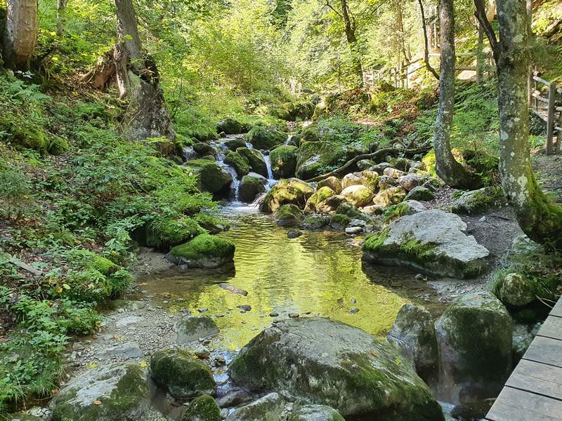 Kneipp Bloggerevent Lofer Österreich Almwelt Wasserfallweg