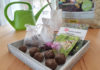 Seedbombs Samenbomben DIY