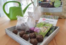 Seedbombs Samenbomben DIY