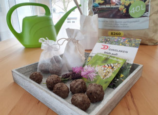 Seedbombs Samenbomben DIY