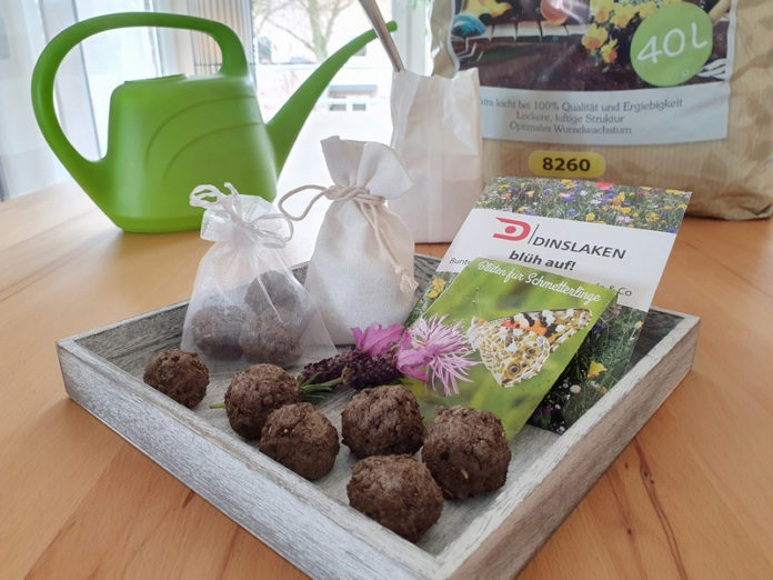 Seedbombs Samenbomben DIY