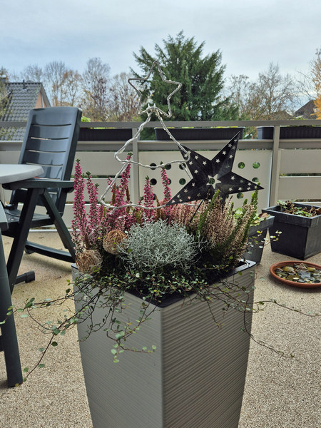 Quntis Weihnachtsbeleuchtung Tannenbaum