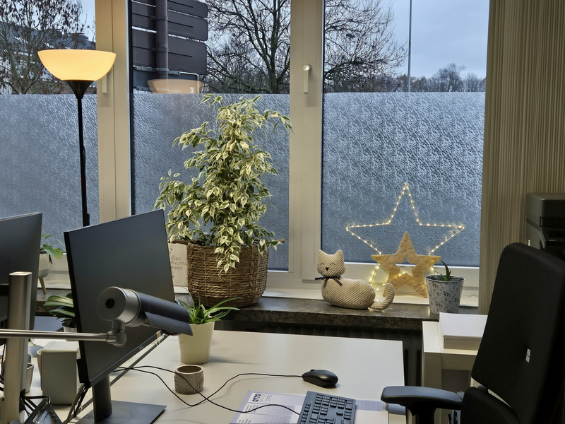 Elktry LED Star Windows Light