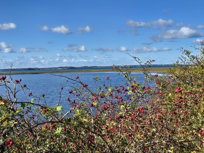 Geltinger Birk Schleiregion