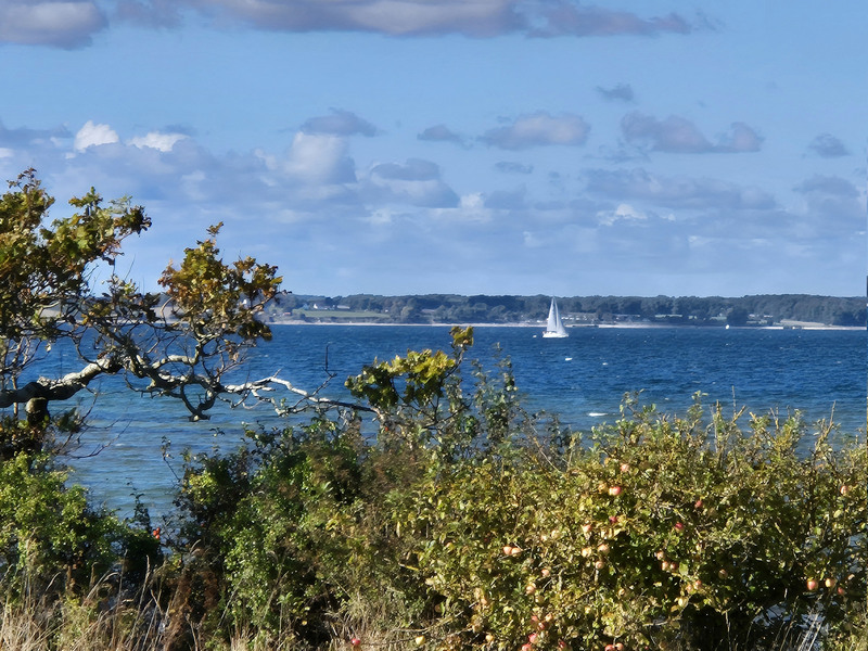 Geltinger Birk Schleiregion
