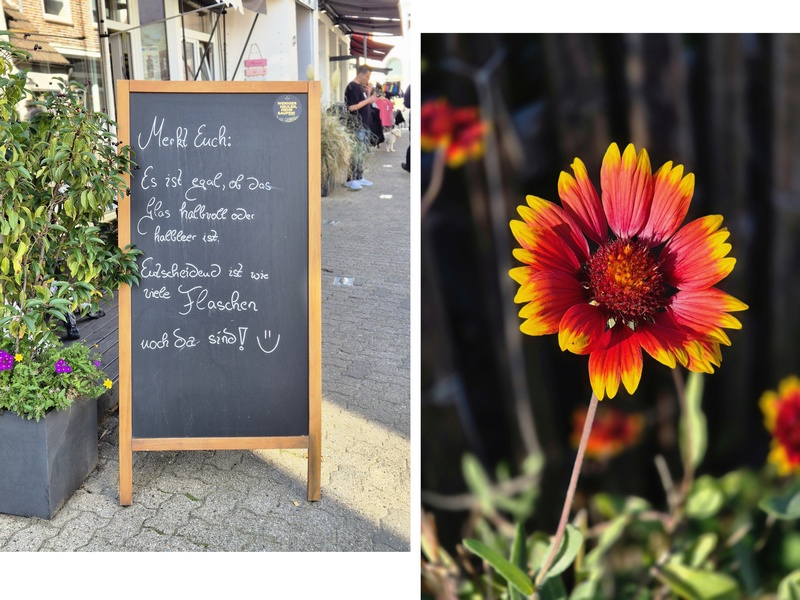 Kappeln Schleiregion