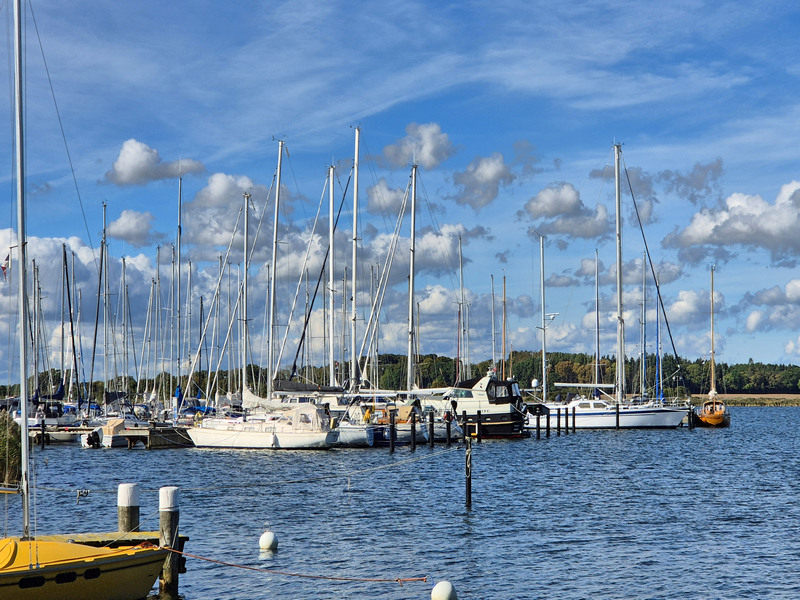 Maasholm Schleiregion