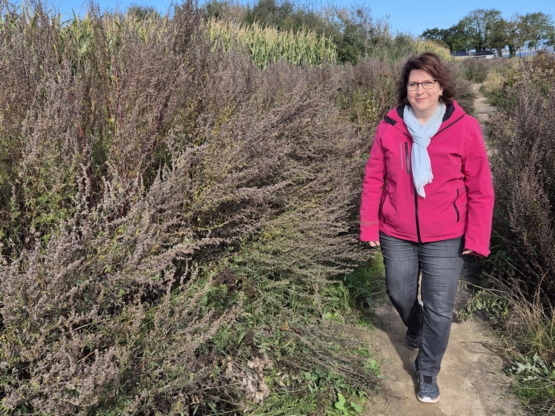 Schönhagen Ostsee Schleiregion