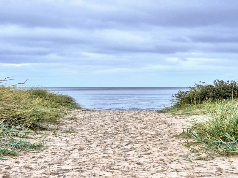 Nordsee Schillig