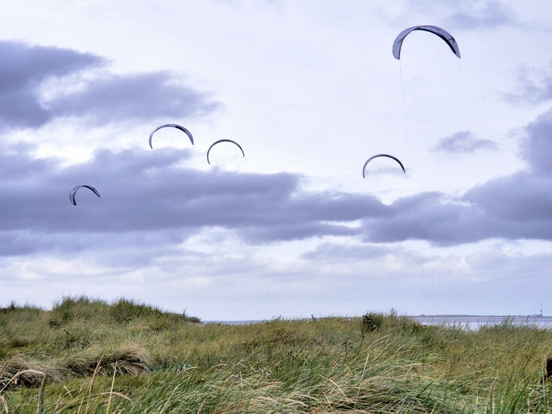 Nordsee Schillig 