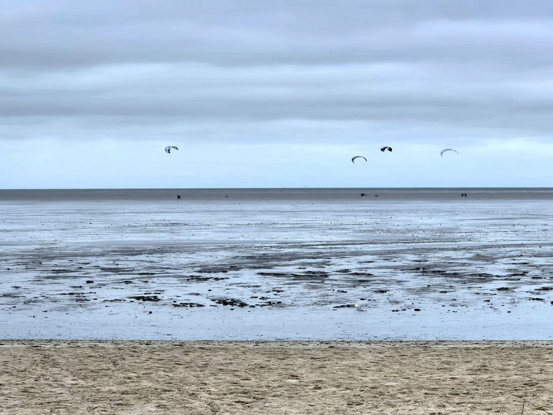 Nordsee Schillig 
