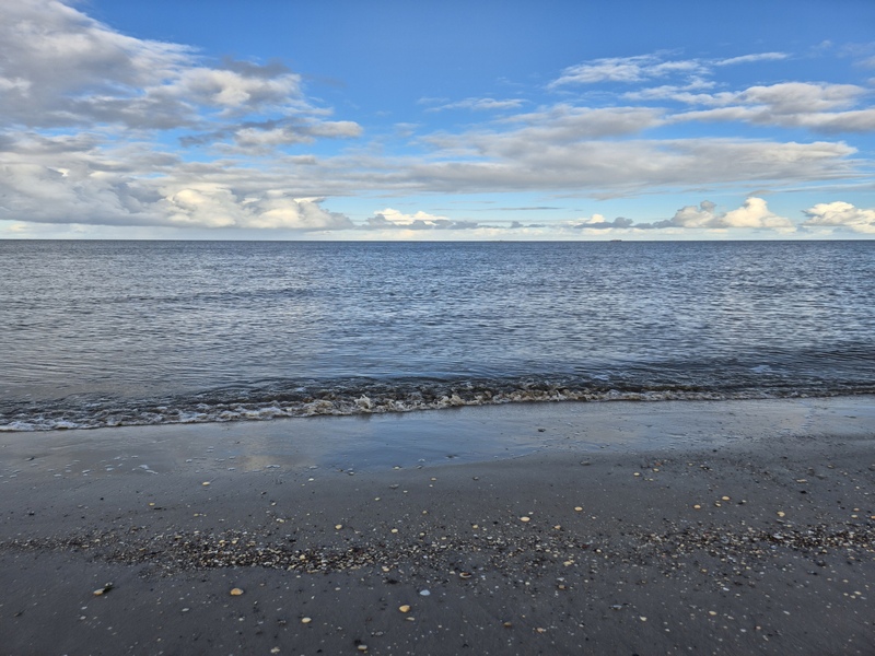 Nordsee Schillig 