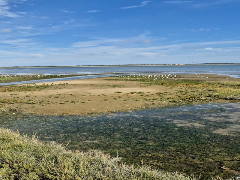 Nordsee Fahrt nach Wangerooge